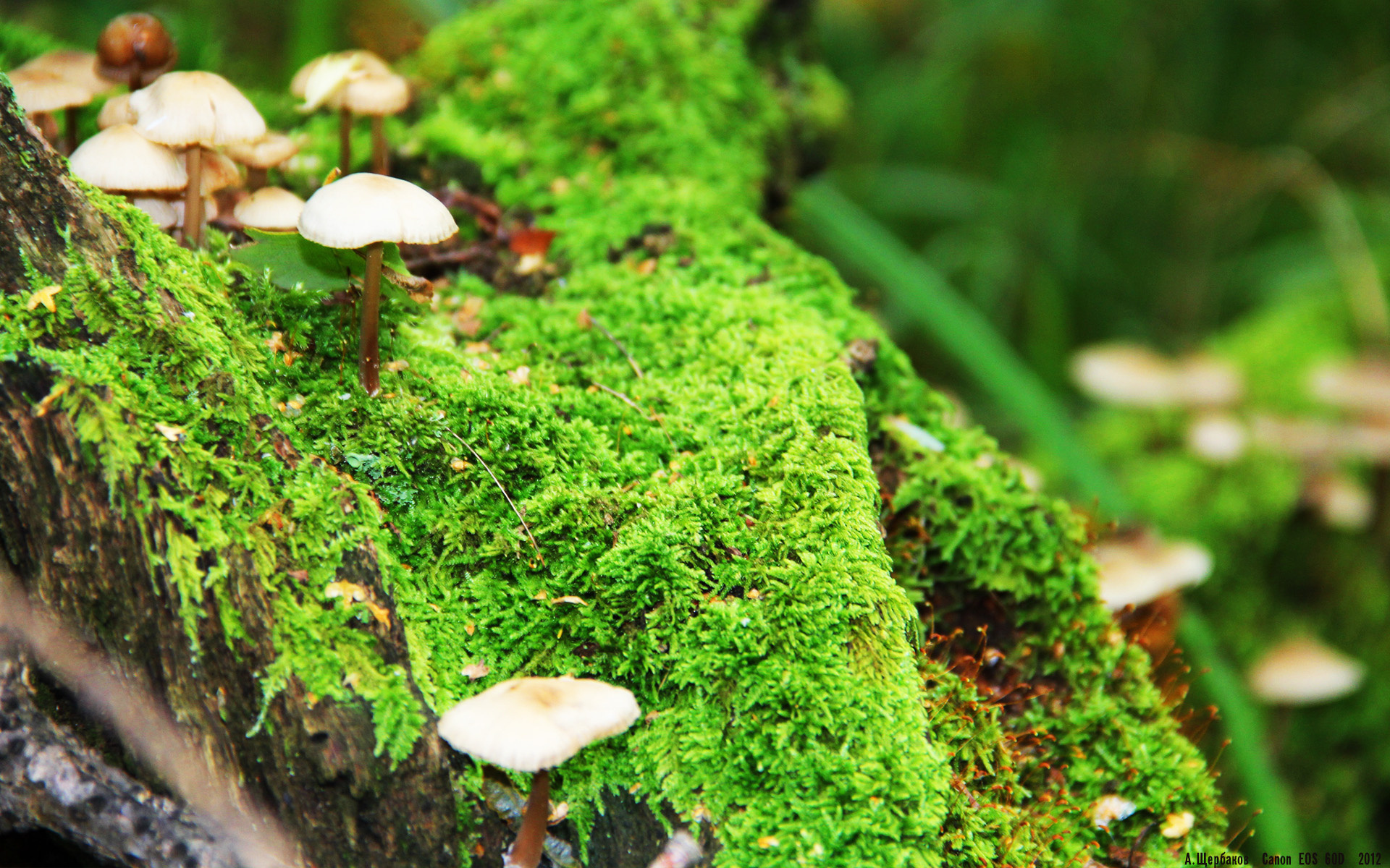 熊猫体育-篮球装备技术升级提升运动表现，篮球运动的基本装备