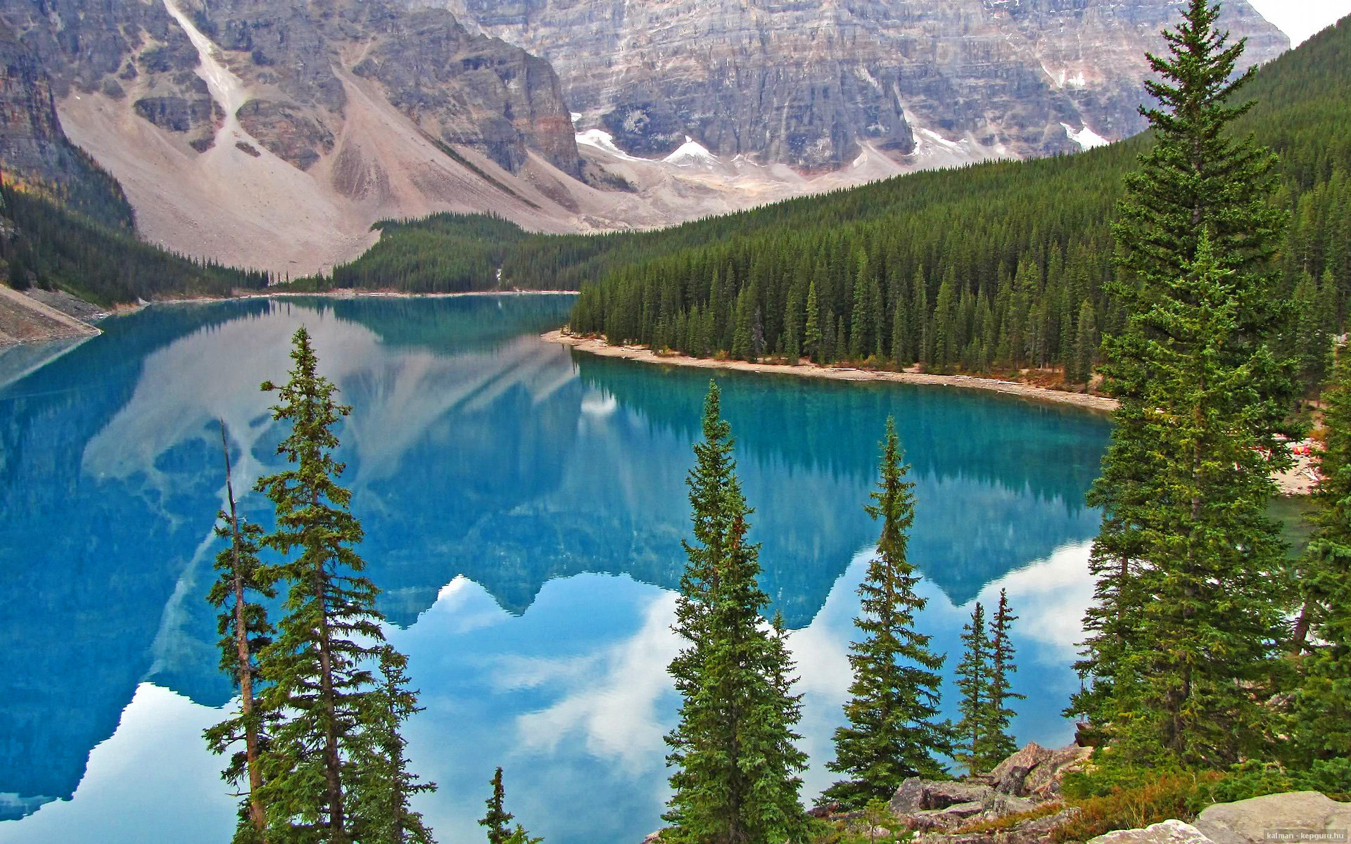 熊猫直播-荷兰队继续强势，晋级形势一片大好